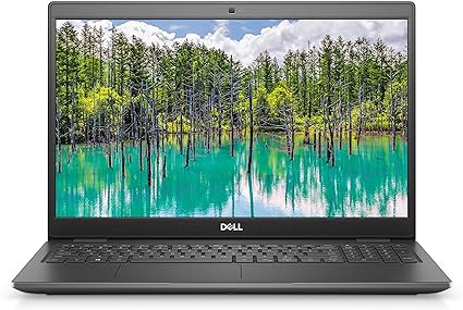 Dell Latitude 3510 Laptop Co i5, 8GB RAM, 1TB HDD, 15.6''