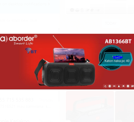 Aborder Rechargeable Radio AB1366BT