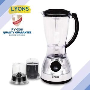 Lyons blender 3 in 1