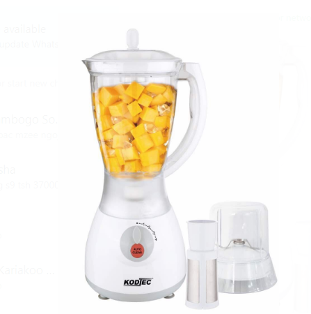 Kodtec Blender - KT 3002BL