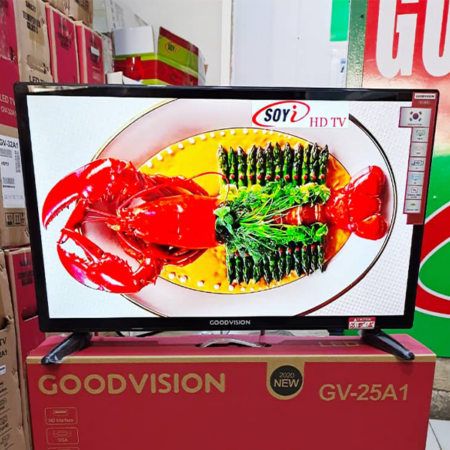 Goodvision 25 Inch HD LED Television, Double Glass