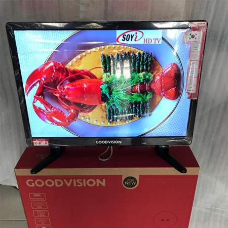 Goodvision 19 Inch HD LED Television, Double Glass