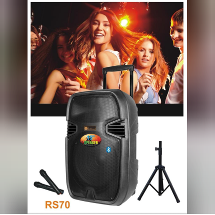 Professional Speaker With Two Wireless Microphone And Stand RS70