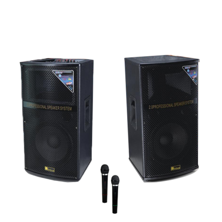 Professional Speaker With Wireless Microphone RS-102B