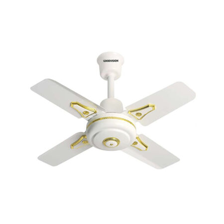 Goodvision G6 24-Inch Three Indoor Ceiling Fan, White Steel Blades